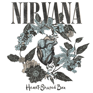 Nirvana "Heart Shaped Box" band tshirt graphic.