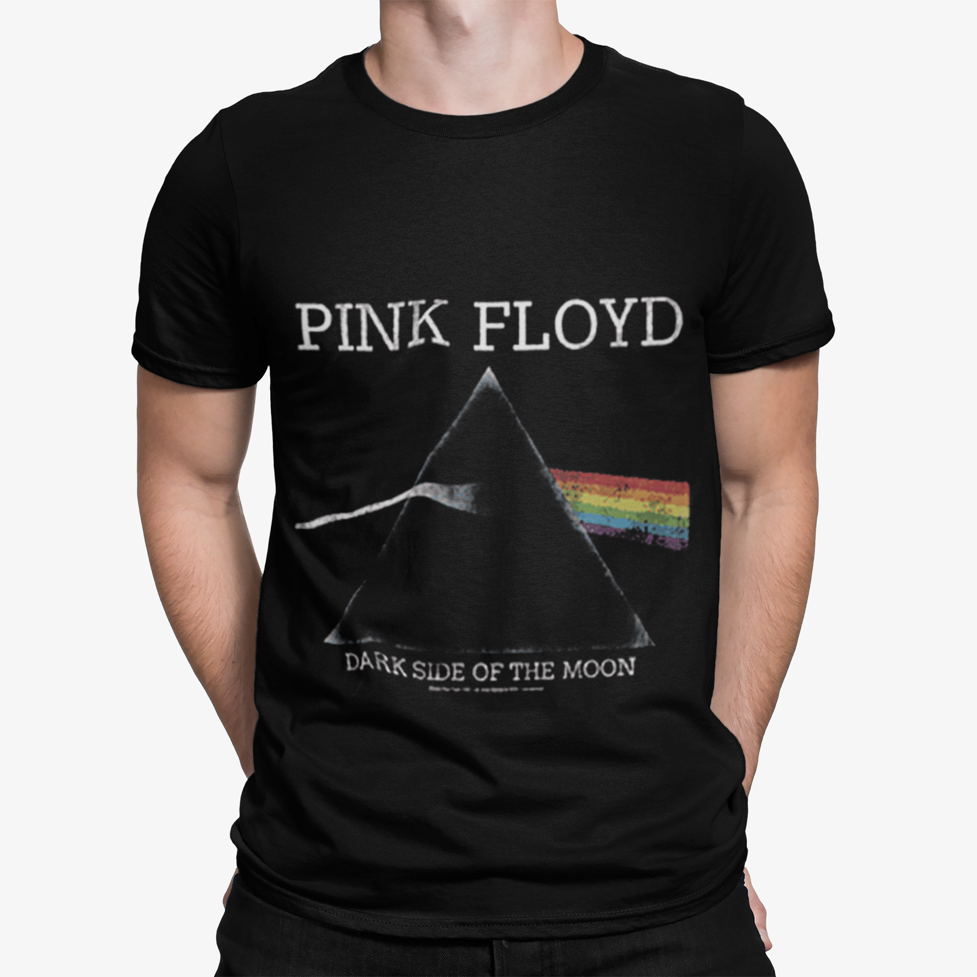 Pink Floyd t-shirt Mens model